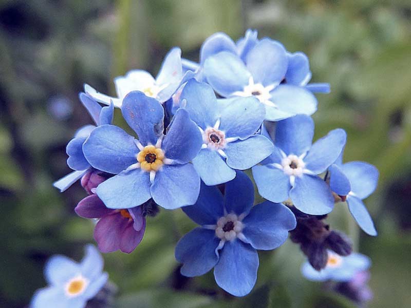 test-01-800-600