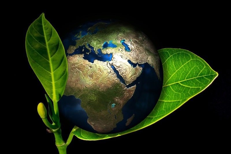 test-01-800-600