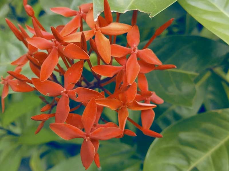 test-01-800-600