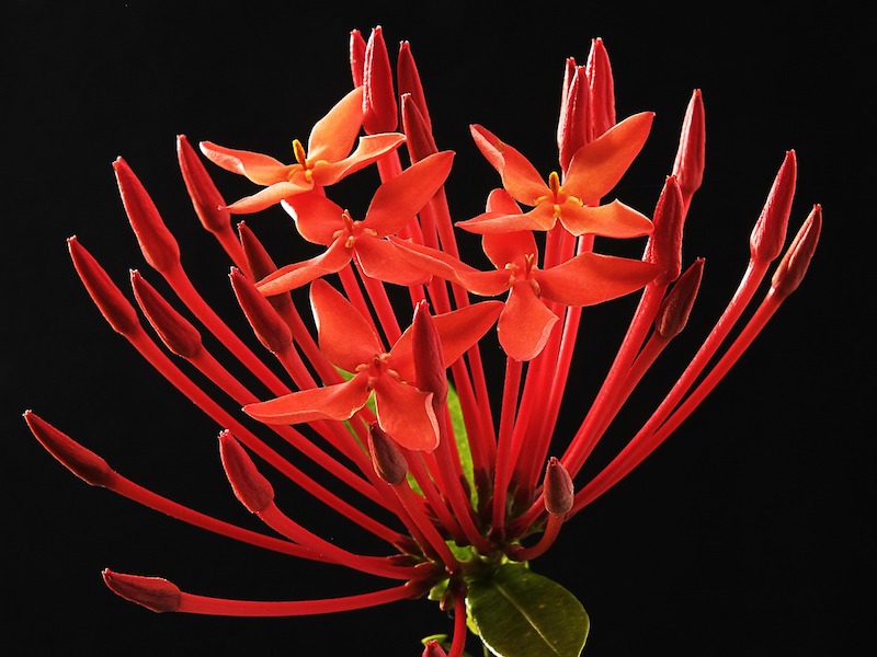 test-01-800-600