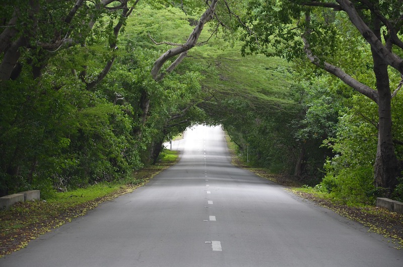 test-01-800-600